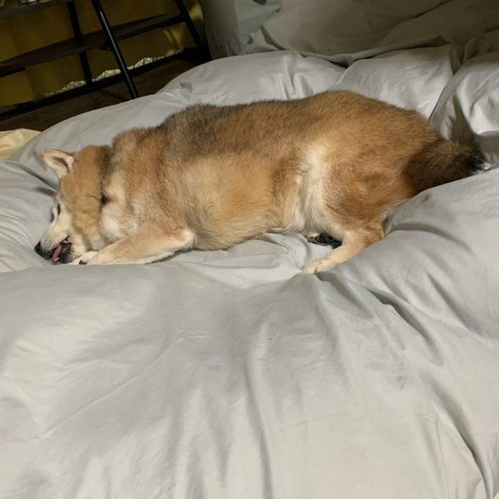 61855626 5522 435d 864e 42d997f5fe75 1674227801996