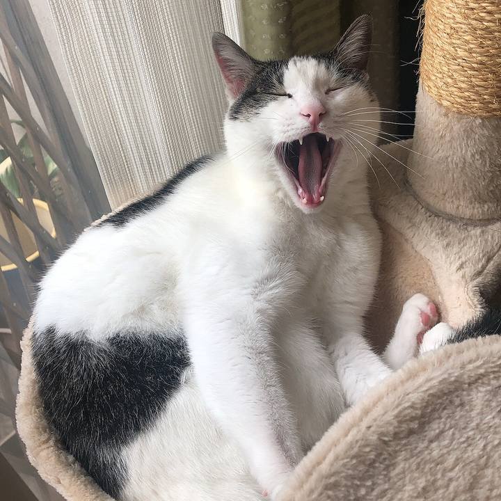 6185570c 17fe 4a4f b63b 6c161a5cbfc1 1665454074453