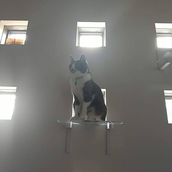 6185a2c7 b52c 441c 88dc 290619c5c18e 1630314531992