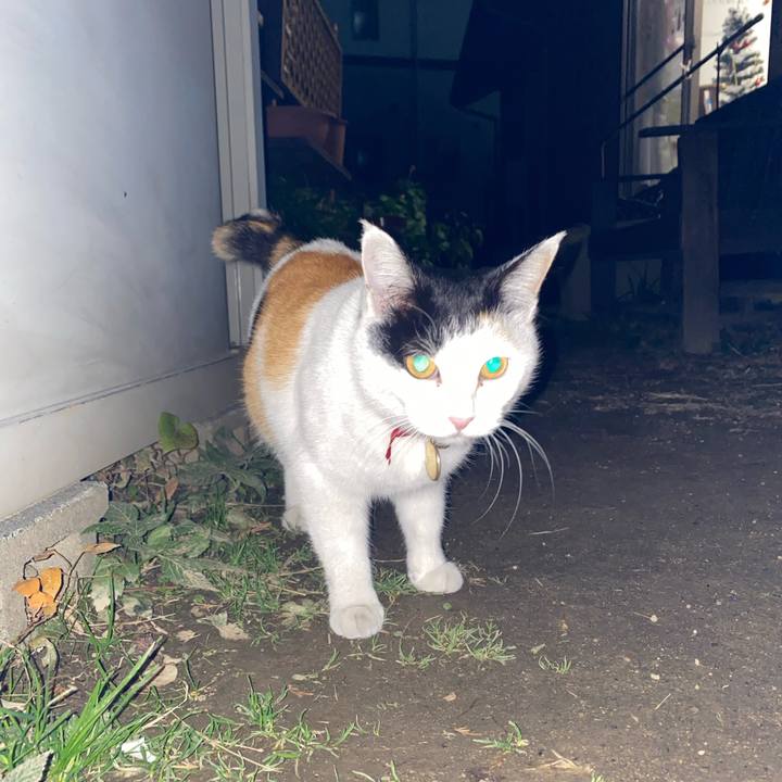 6185c1b6 6591 4ce2 a03d 871927474991 1640177394937