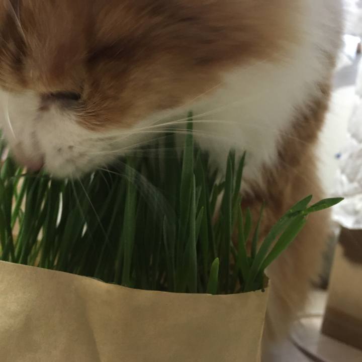 6185d89c a038 42e1 b44b 33a7d88e6d3a 1537764851383