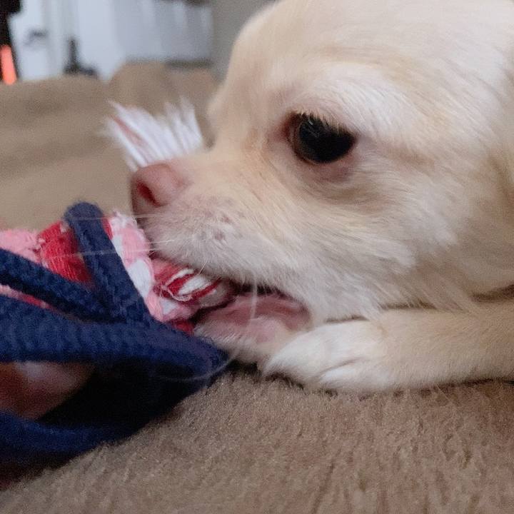 6185de4b d55a 4eed b56f 0ecc33dc4fd4 1596920543220