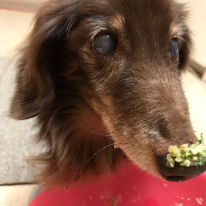 6185f9d9 a643 4186 8e05 3f7ad256e69d 1550497082714