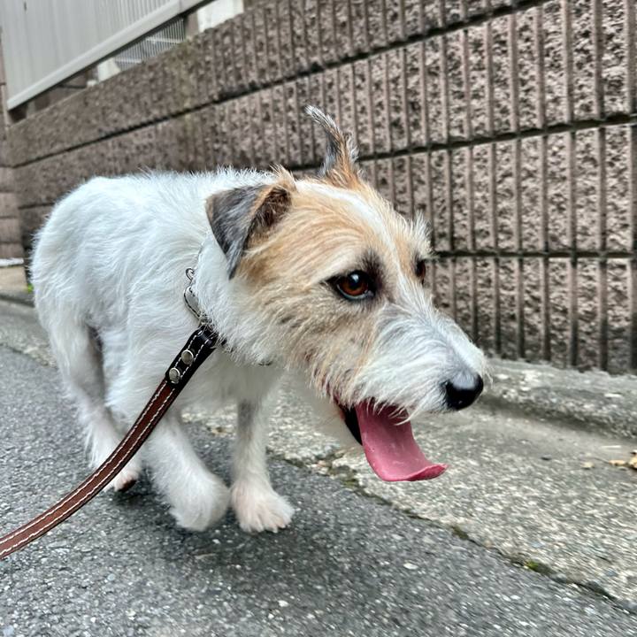 618632e8 d88f 4706 94fb 3e868072545e 1729861338313