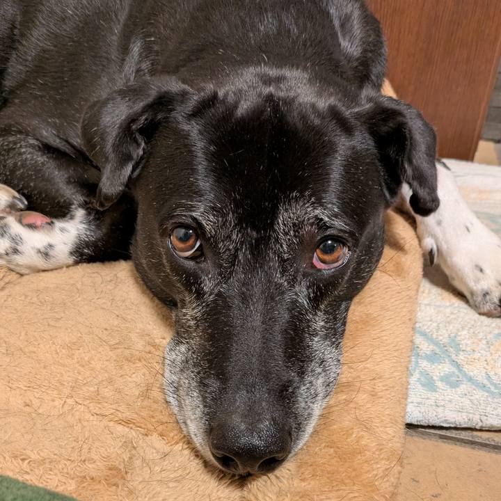 61864f60 1c7a 4bc0 8c9c 2f231ff35e78 1767783589011