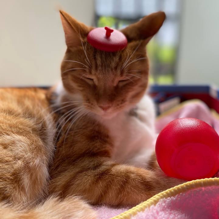 618664b6 06fd 4bb2 aeab 507b4acb1db1 1669950859291