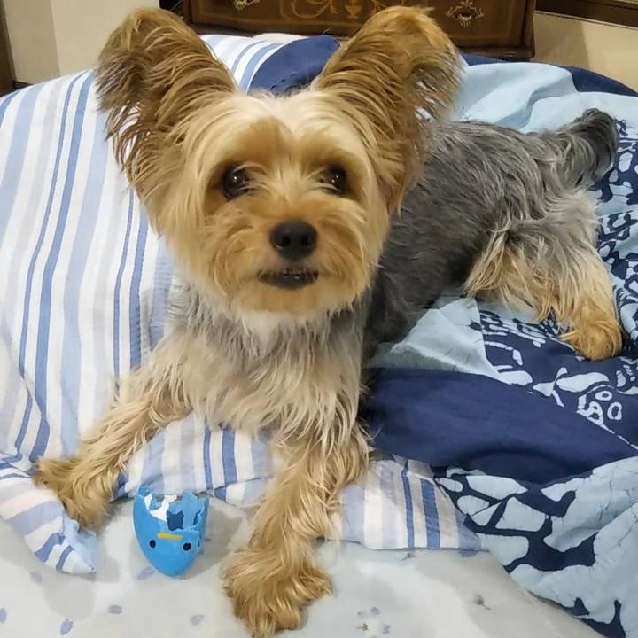 6186924d 565e 4ffe 8a55 4eddd8b9543c 1629286492139