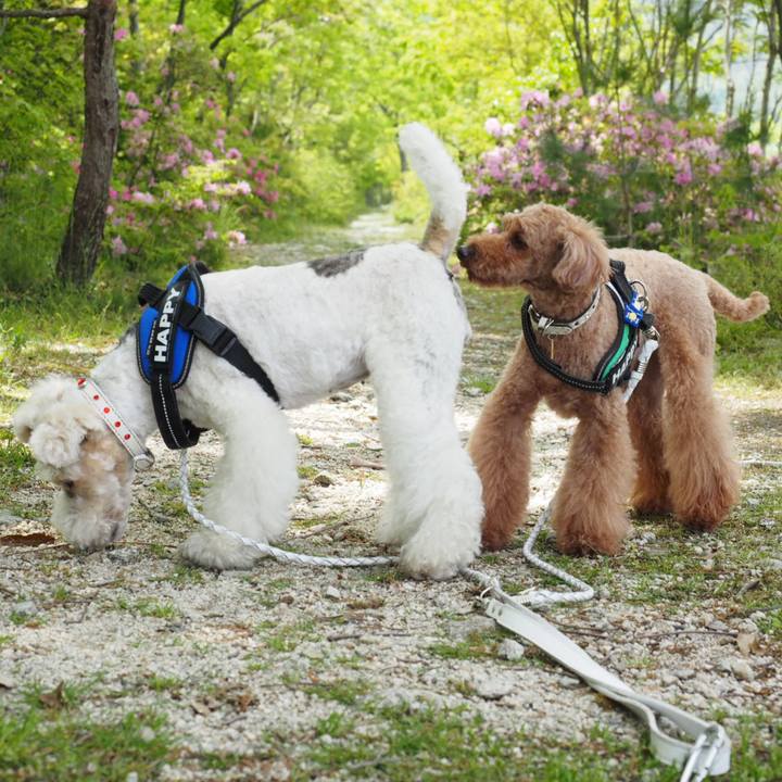 61869e65 e6de 4844 987a 3794ee5ea047 1557048023125