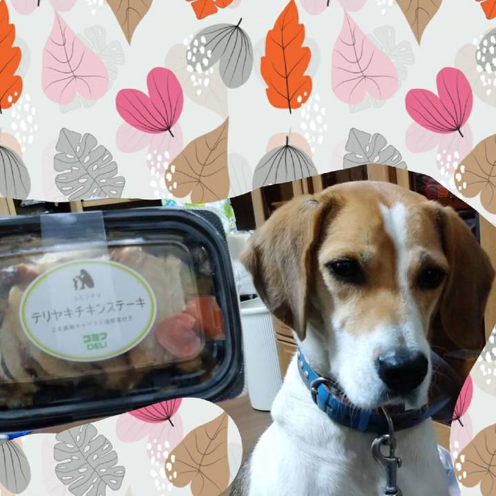 6186a363 c047 4fd4 879f c50c4cce9a73 1605695427267