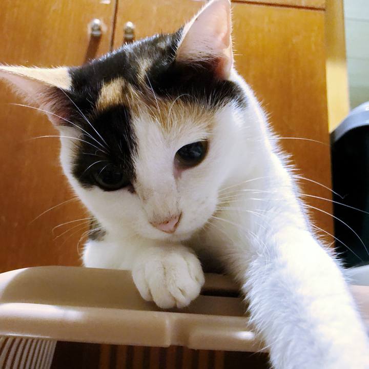 6186af08 115f 439b 8085 8399f6e38ef9 1508029547116