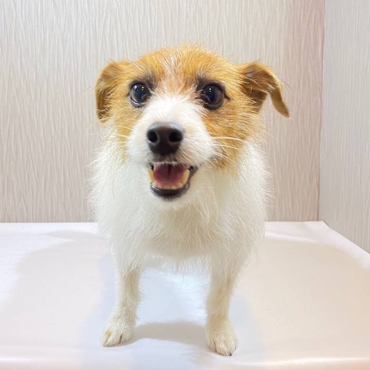 6186bcdd fd75 4852 8349 e00ceda73494 1579413189000