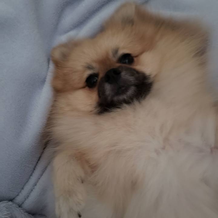 6186bdd1 b88c 43c5 b841 9b5502897acb 1634612723240