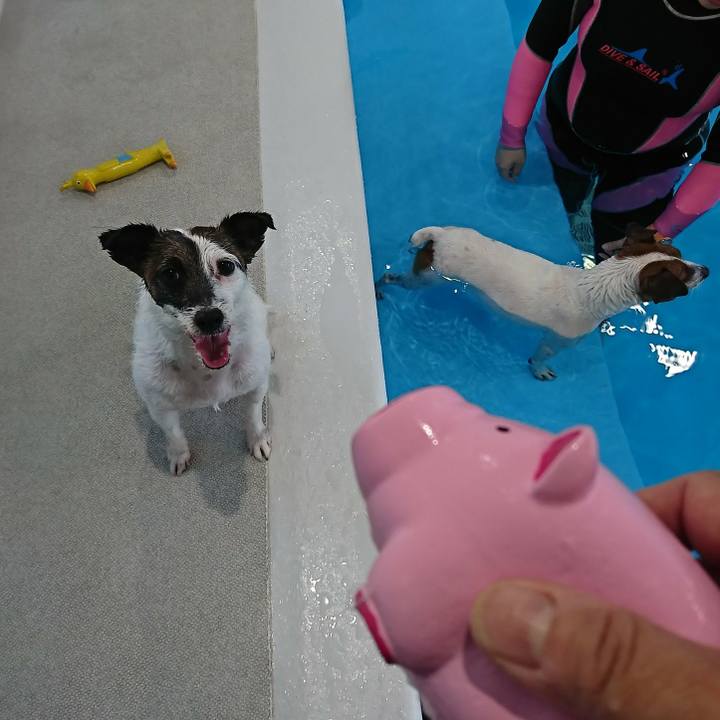 6187016f 1950 4f5a 86d9 b5c6fab1fdce 1580542706774