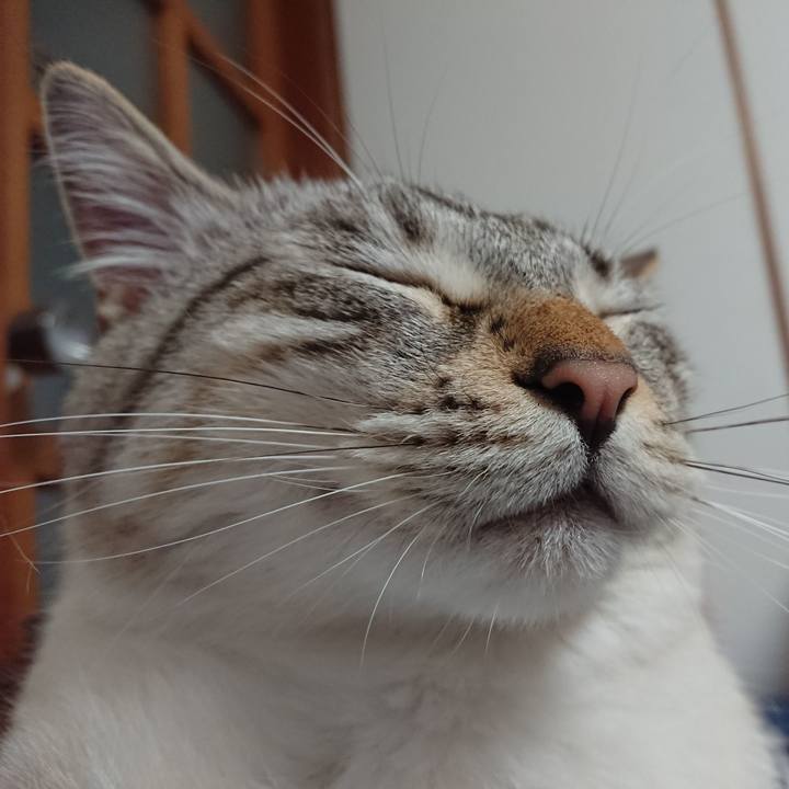 61871701 f496 4ace a5f7 ab728a40d484 1561462718708