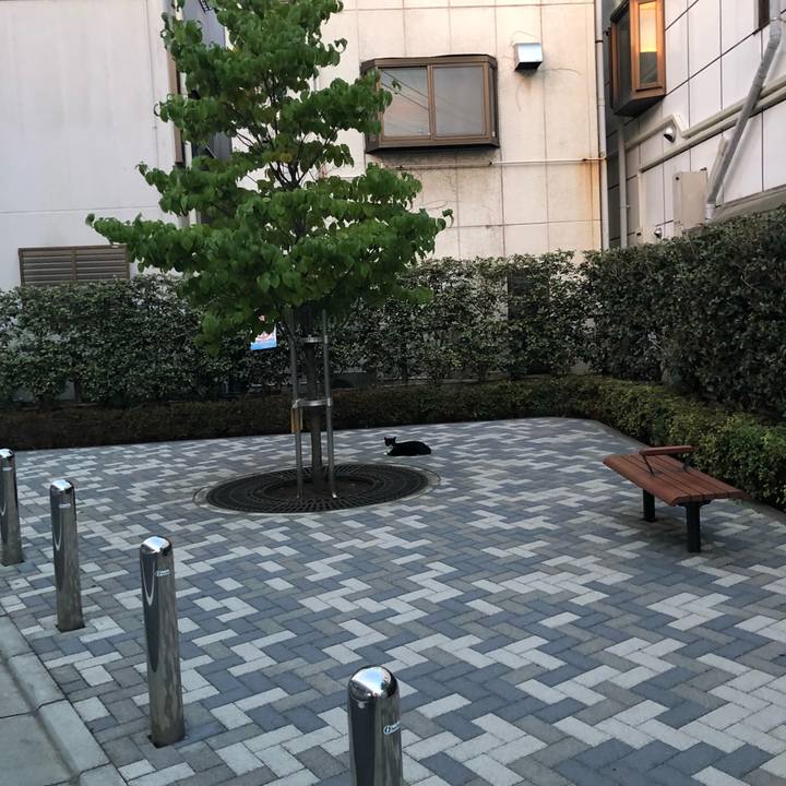 6187420a ae86 4426 ac2d 168f5cb50394 1534673233101