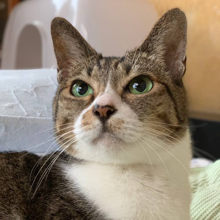 6187b1d8 6cdc 4c55 a735 ed728631d5f7 1540429590503