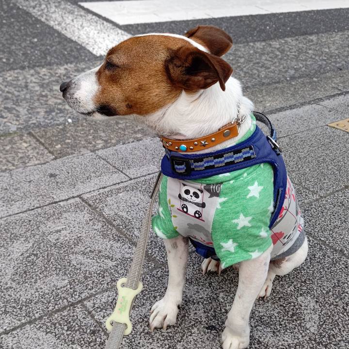 6187c0ac 3b3b 4f0b 99fc 5b3b375ad5e4 1620124434877