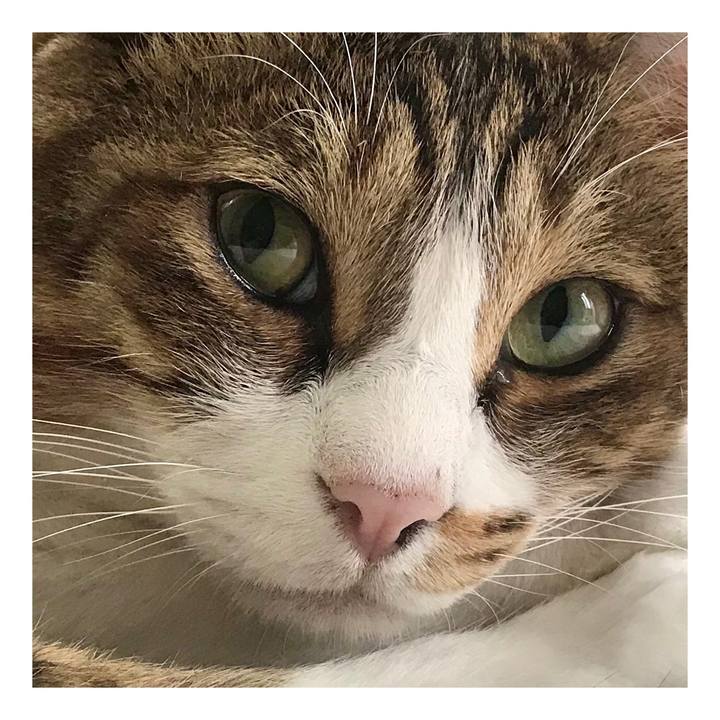 6187f3f3 f59a 4aa1 9b6a 040fec6e7f9b 1596163893043