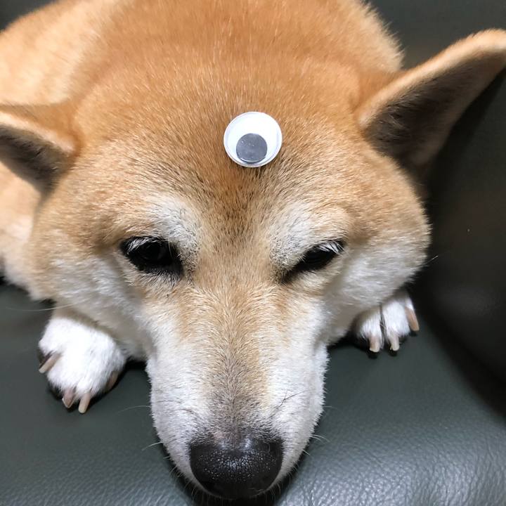 6187fa31 733b 49ca 8d49 cf9a9bb6e6bf 1573033302896