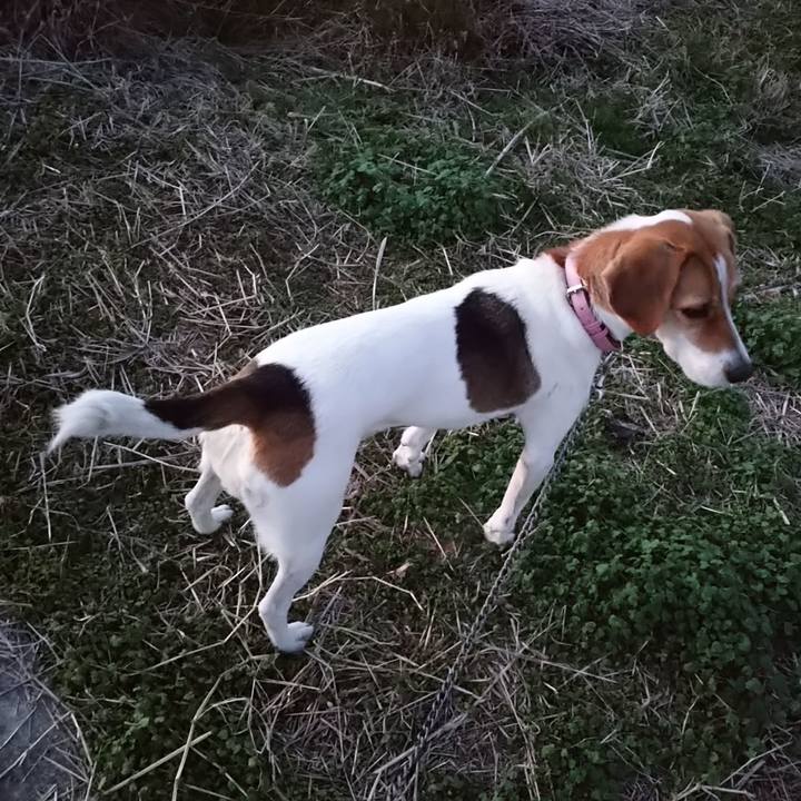 6188096d 2f7a 487a bff7 5cb6cf8a456b 1577094947527