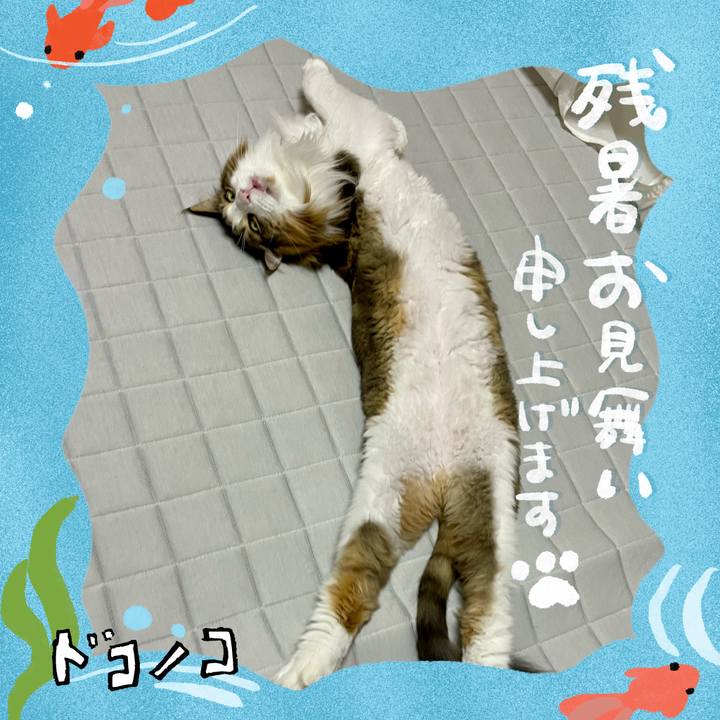 6188131c ba3f 4e31 bf69 c8a41659abb2 1723577170739