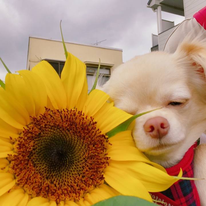 61881f39 7574 4bb1 b925 4454a3261138 1624698358203