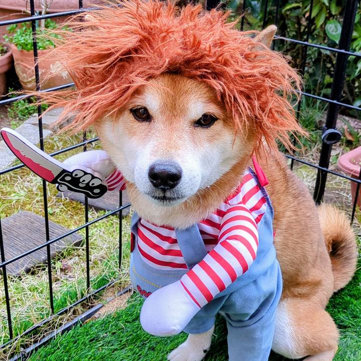 61882b90 5f26 4841 8930 283b1f65c90d 1742722511342