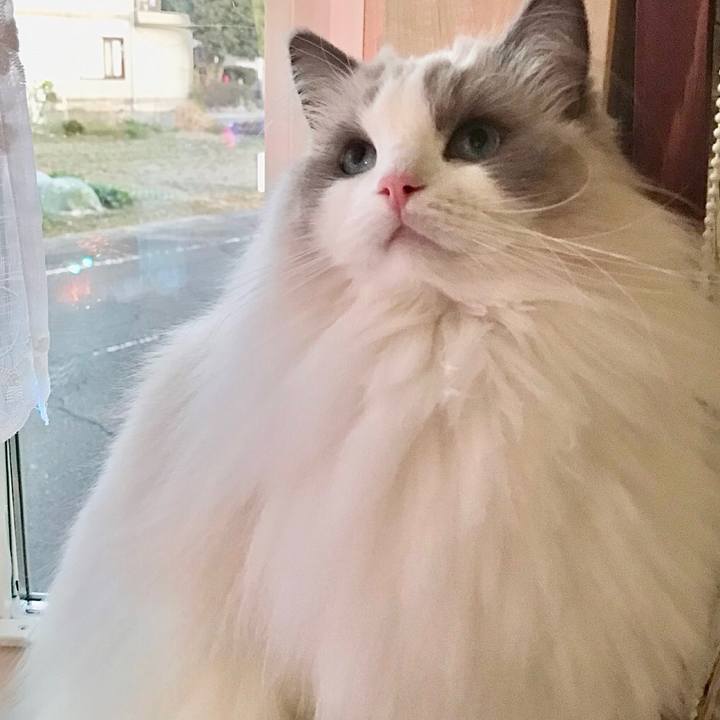 61883858 b40c 4f58 810f 1933b65a5f64 1606772677086