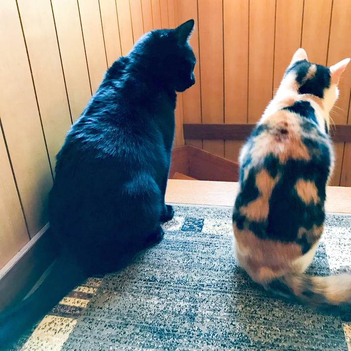 618875c7 b293 4457 9aab ea54f06a1fda 1511361022548