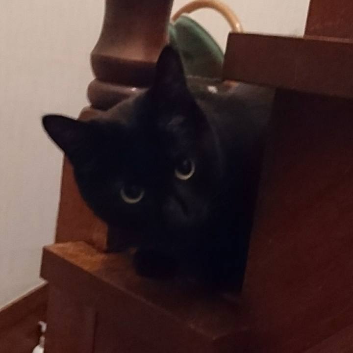 6188839a 253a 4ad0 8469 ec8395fe9ff3 1525169313319