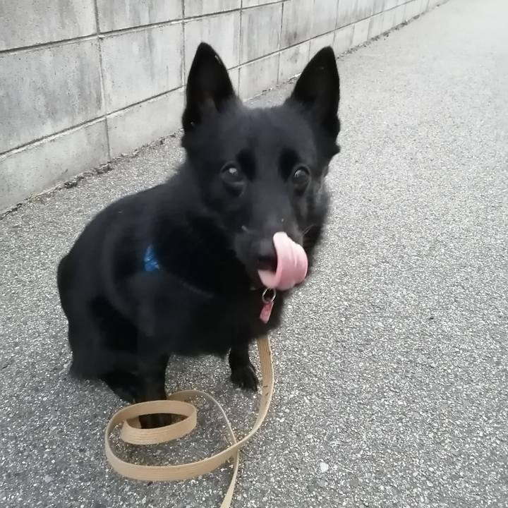 618888f2 a9d9 4a7f 9807 af183ef935fb 1608157694962