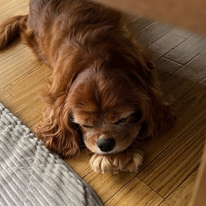 6188f443 c00a 4e9a 8d8f 033b257e266a 1726525028105