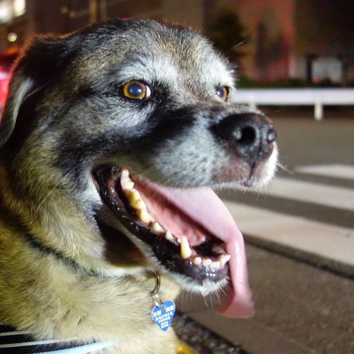 61892b52 089a 46b4 bfac f723700f8183 1642036239616