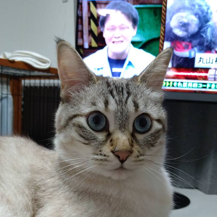 61893e60 0b3b 46dc b208 dcac7205782c 1626690373667