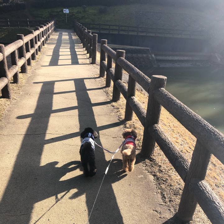 618996ea a669 46f2 878e bc3bc4972148 1610607276900