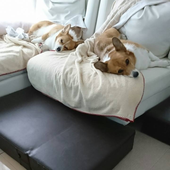 61899b2f 2166 4bcc 8e85 fc312e742652 1541229274134