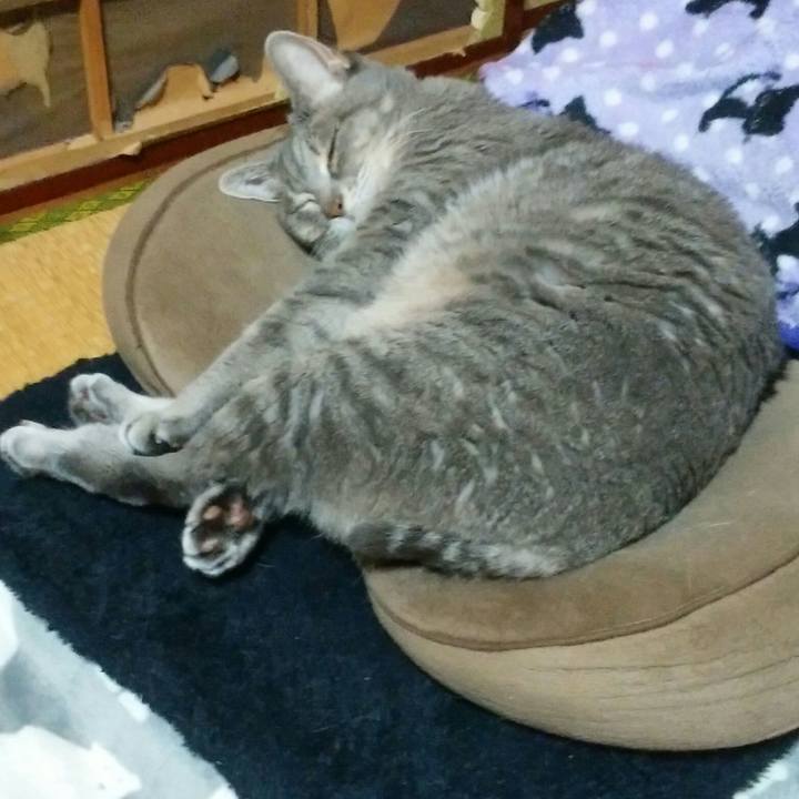 6189b00f 39f2 43e9 b854 cb97258a8dbd 1539269113281