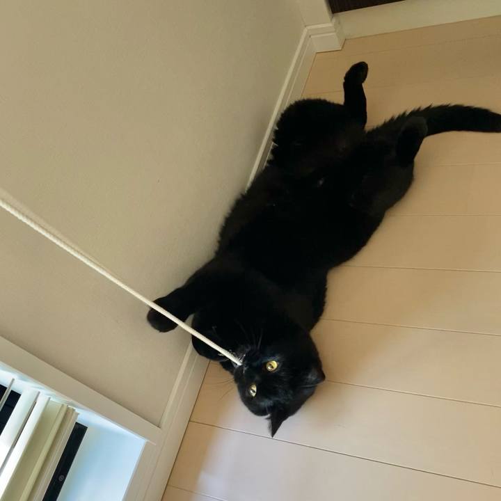 6189b6e6 77ae 4b52 b553 279c27307e8e 1630189079360