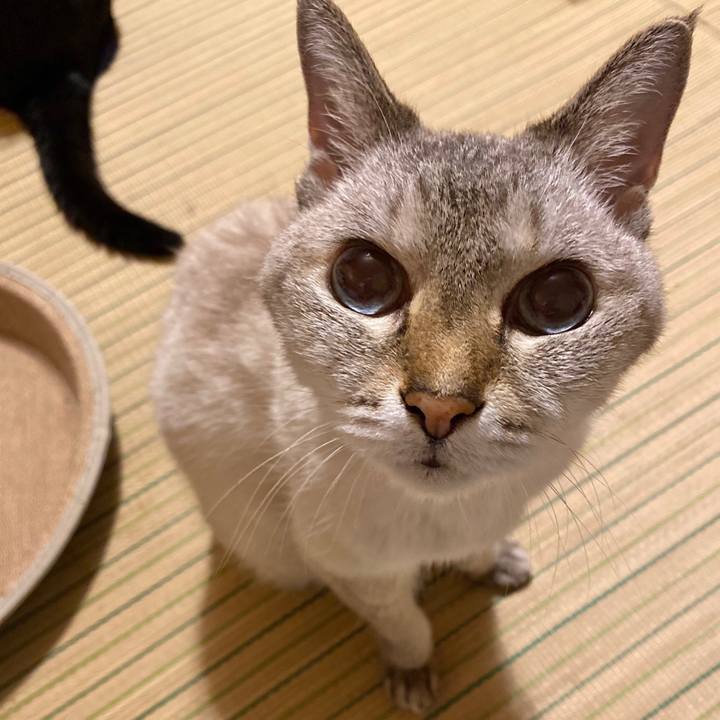 6189bf9d 45c3 4b78 8897 bb7f0c3fc2be 1596027140797