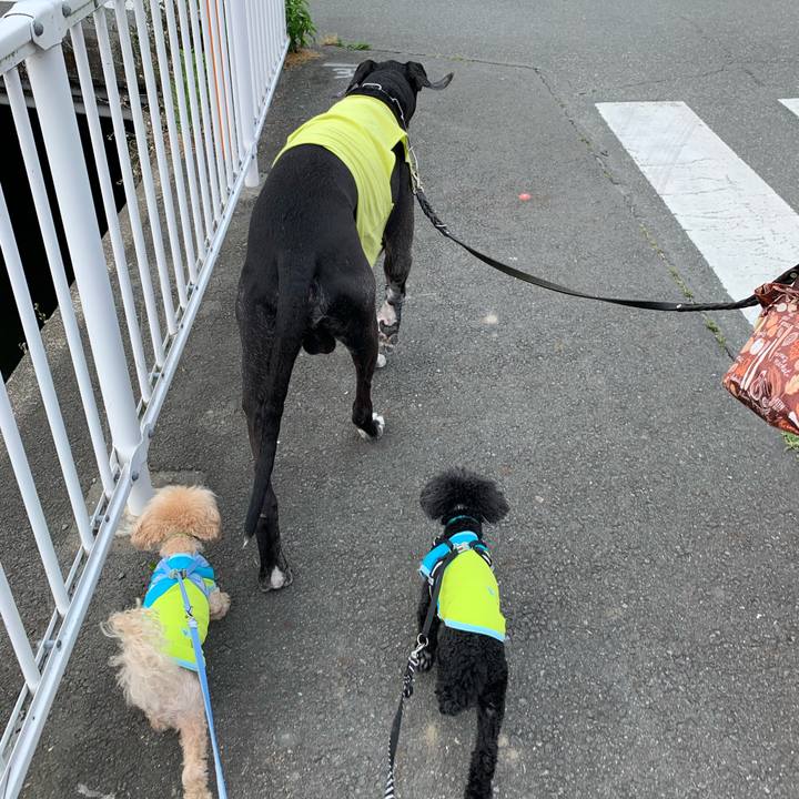 6189ea60 108a 44df 8d27 95f769e33576 1591484151523