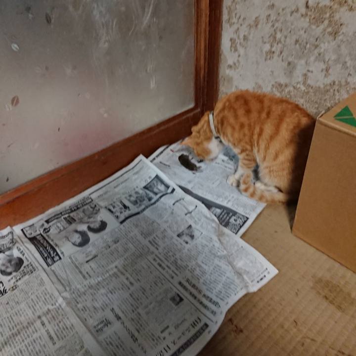 618a09a1 5fe1 4bfc b078 d633aaaaefba 1589614090696