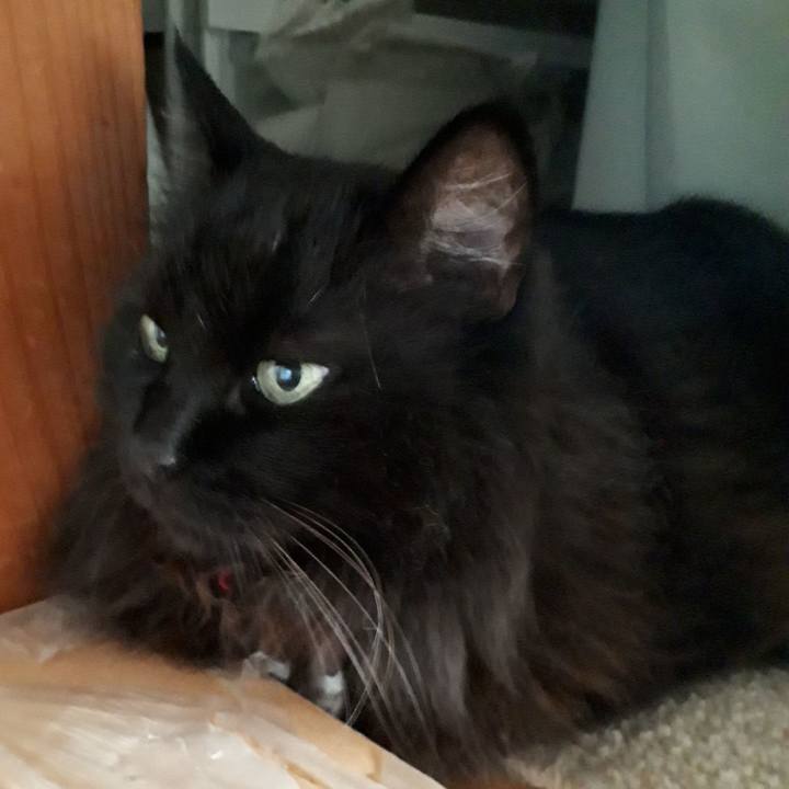 618a49c0 a400 4e6a bbc5 902a008ba9e2 1532900180984