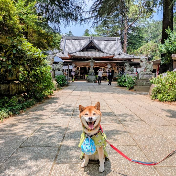 618a54c9 0203 4fd9 8b60 df5bbeeba4a3 1751797400783