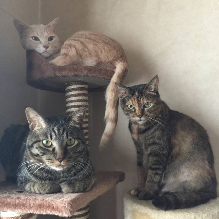 618a73b5 11e9 4fa3 aaab df20e54dbeb9 1664269931882