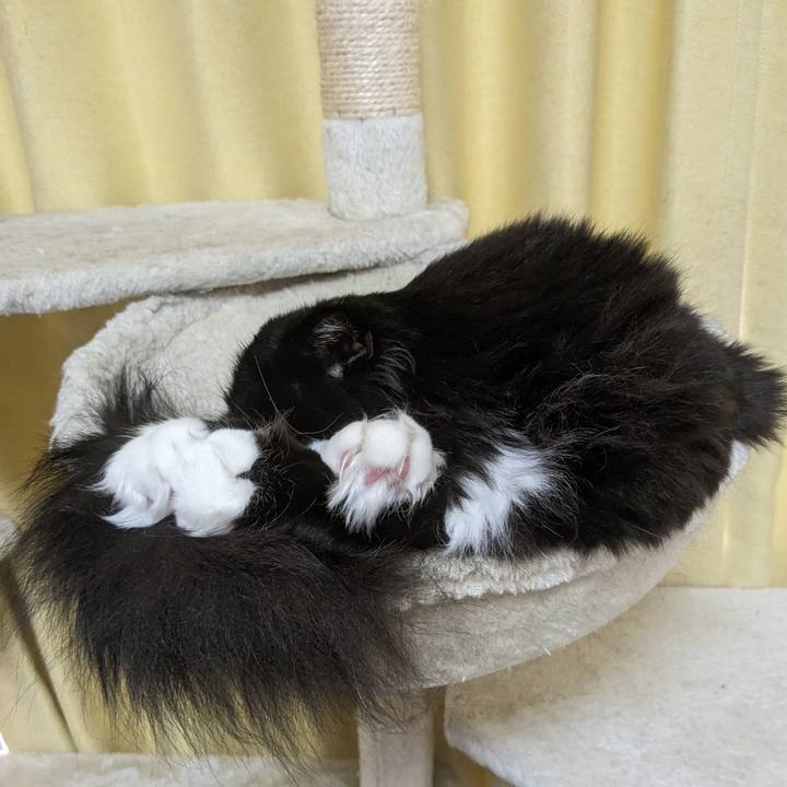 618a7662 4915 4fb2 8d12 3febe379800b 1713237619563