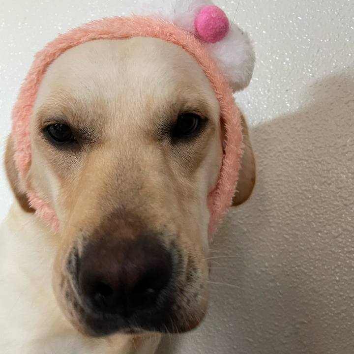 618a81e2 71ca 4277 9d83 7485cbf67ec2 1656511422925