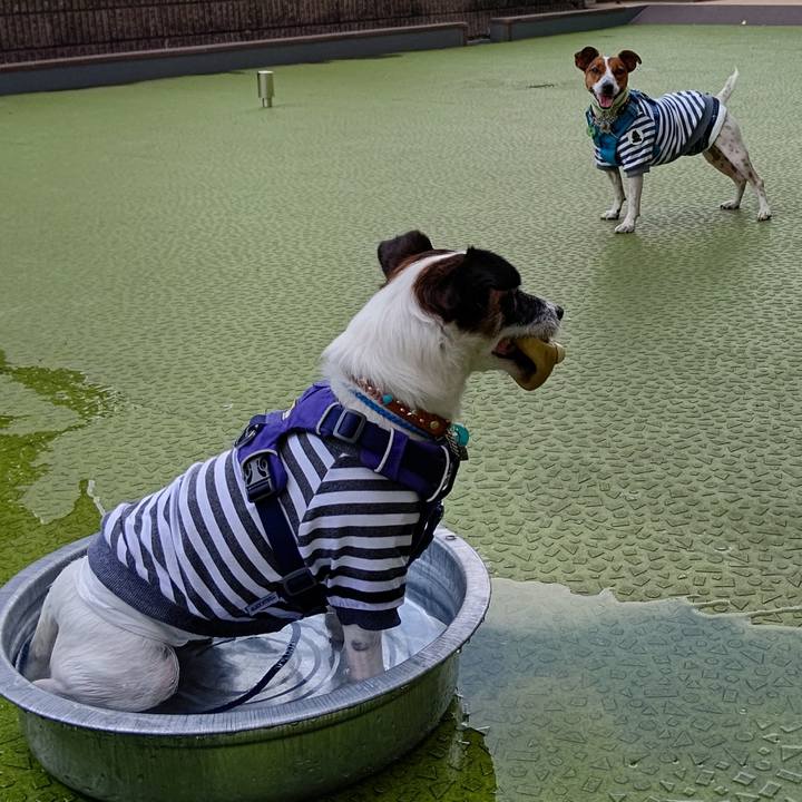 618a9ab7 1567 4053 9765 72830ee08057 1626344065357