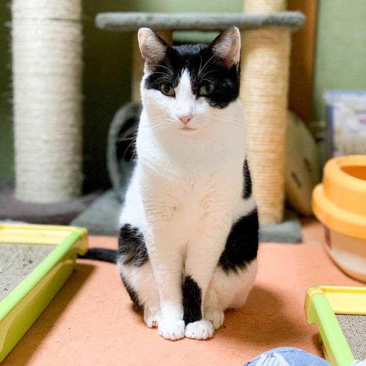 618ac339 dccd 46d7 9829 3d131b46bceb 1545357148715