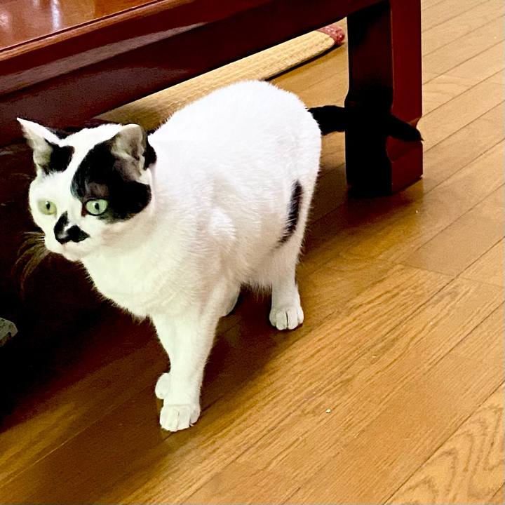 618b3f7e 0804 4a5d 99f9 6c8c274eebad 1654209103746