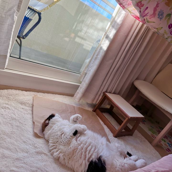 618b4935 5c30 42fa 9e04 e37291a0298c 1699396230011